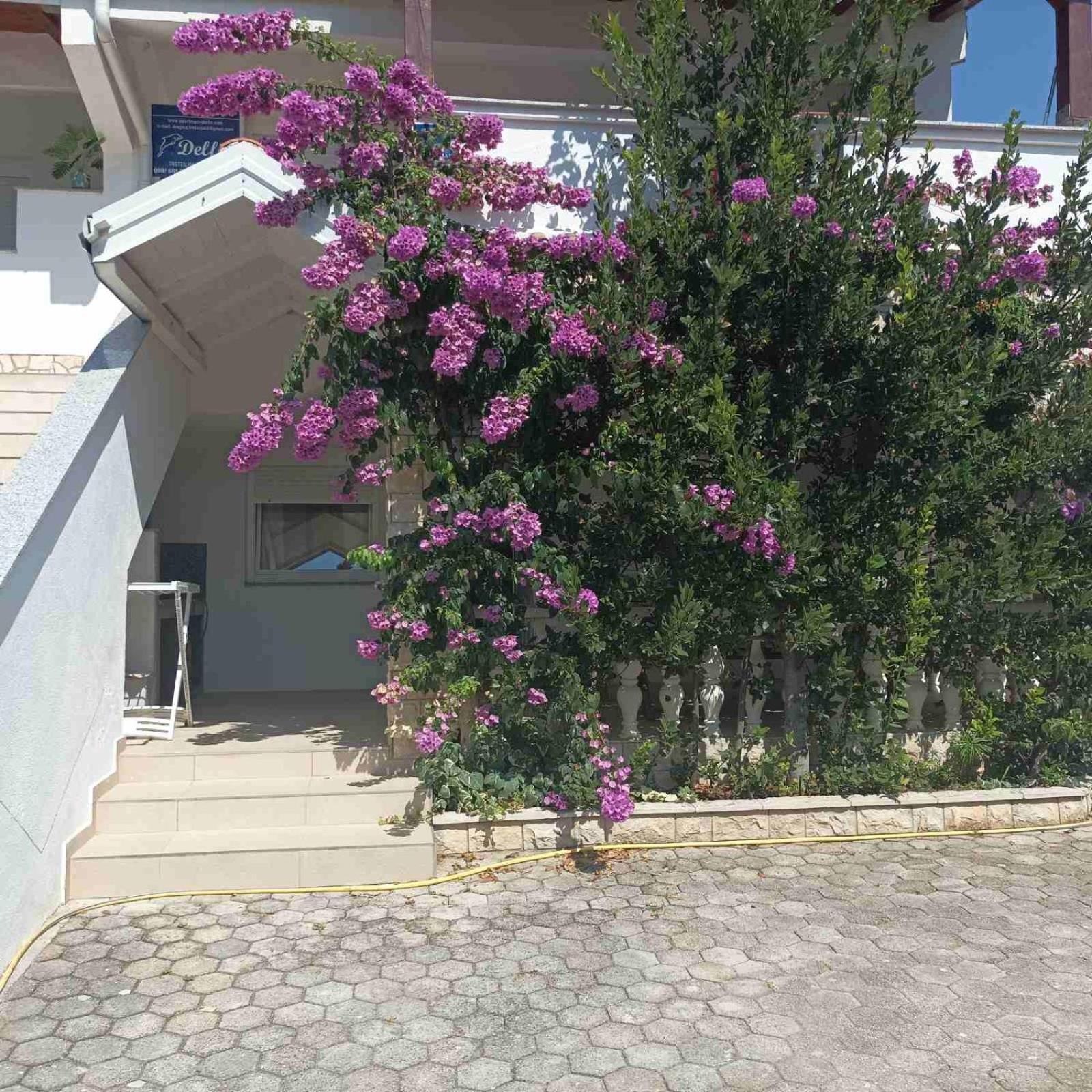 Apartments Vir Delfin المظهر الخارجي الصورة