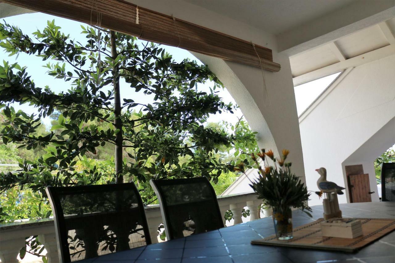 Apartments Vir Delfin المظهر الخارجي الصورة