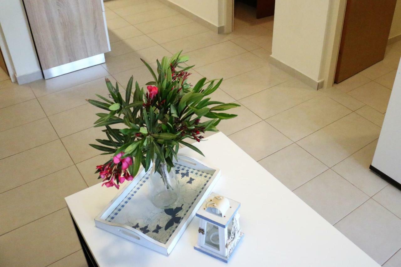 Apartments Vir Delfin المظهر الخارجي الصورة